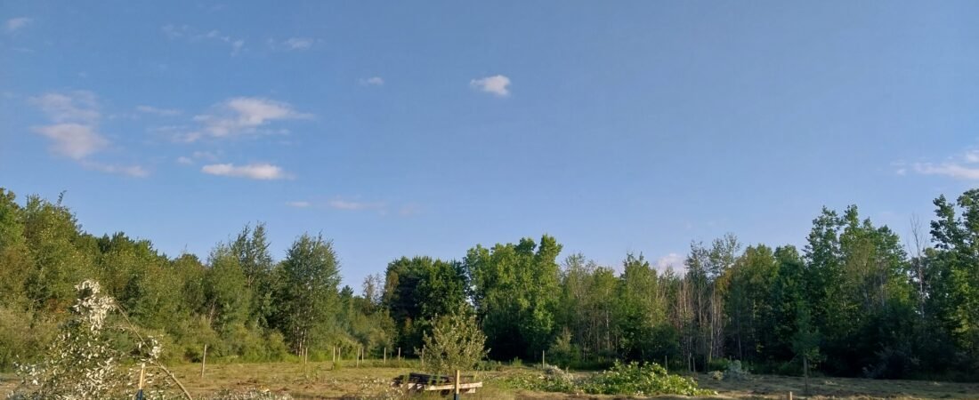 The Homestead Dream vs Reality